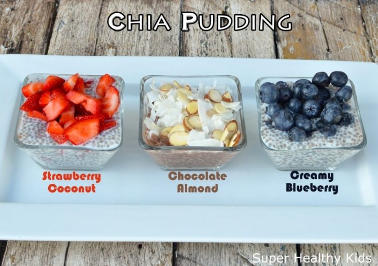 Chia Seed Champion Pudding Recipe {Healthy Dessert for Kids}. Have your kids tried it yet? What do they think?